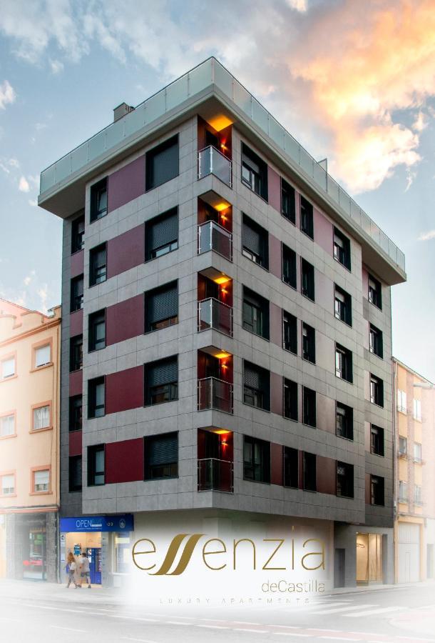 Aparthotel Essenzia De Castilla 阿兰达德杜洛 外观 照片
