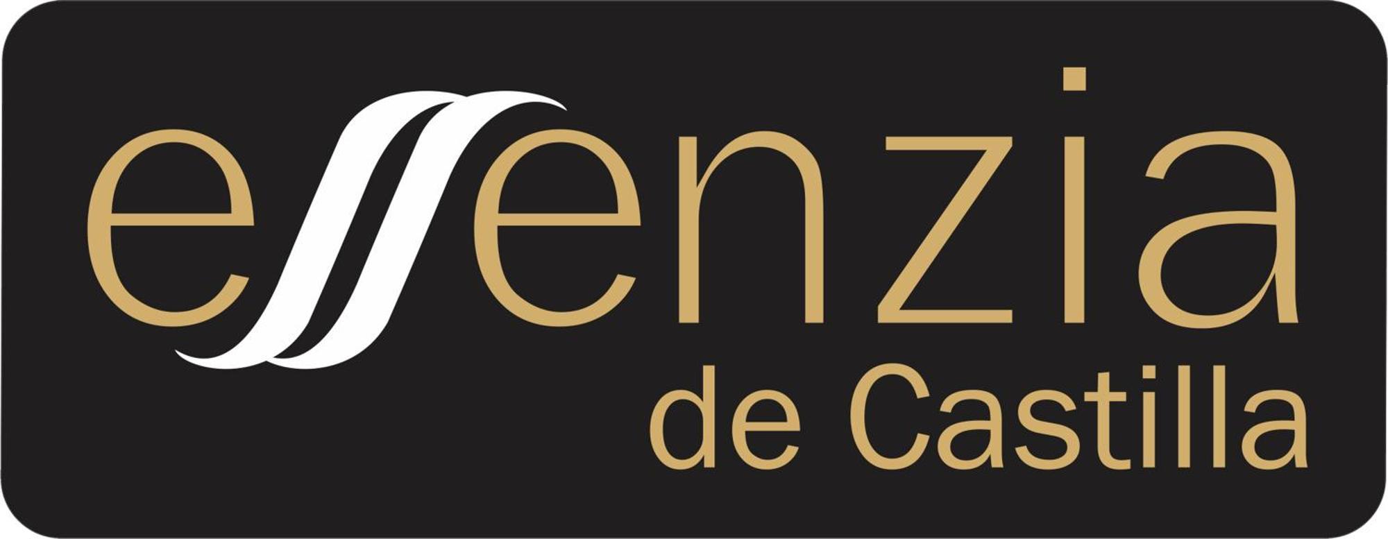 Aparthotel Essenzia De Castilla 阿兰达德杜洛 外观 照片